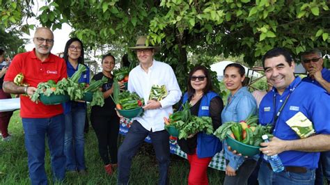 mujeres en el ejido|Mujeres dedicadas a la producción de palma camedor